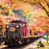 Nguồn gốc phong tục ngắm lá thu của người Nhật